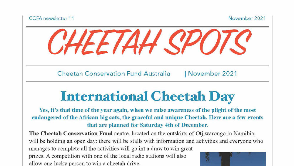 Cheetah Spots – Issue 11