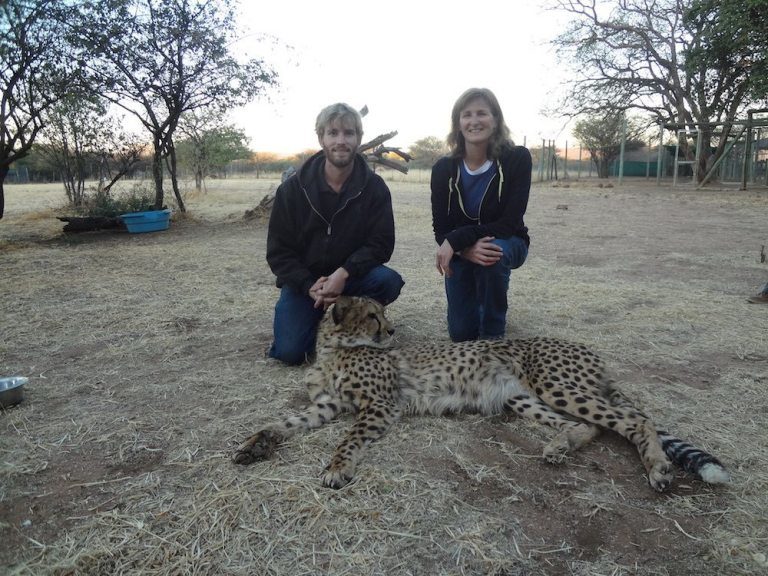 Rainbow, Then and Now - Cheetah Conservation Fund Canada