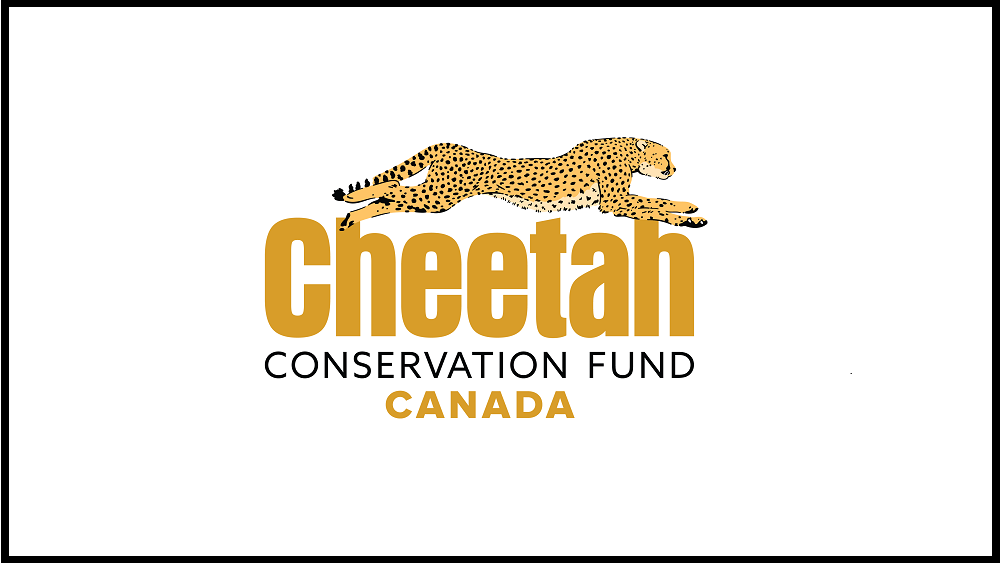 2021 Highlights for Cheetah Conservation Fund Canada