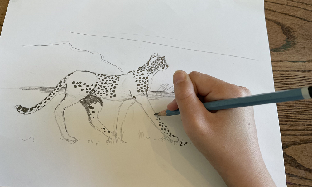 Ella at work sketching a cheetah