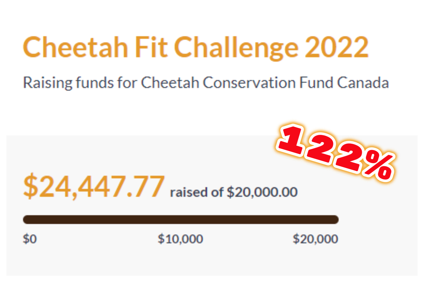 Cheetah Fit Challenge 2022:  Our Incredible Results