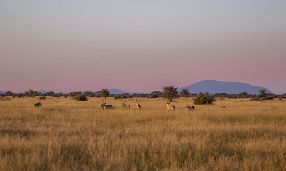 International Climate Day – October 24