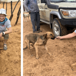 Vanier college teachers at CCF Namibia. Involved in the rabies campaign. One Health