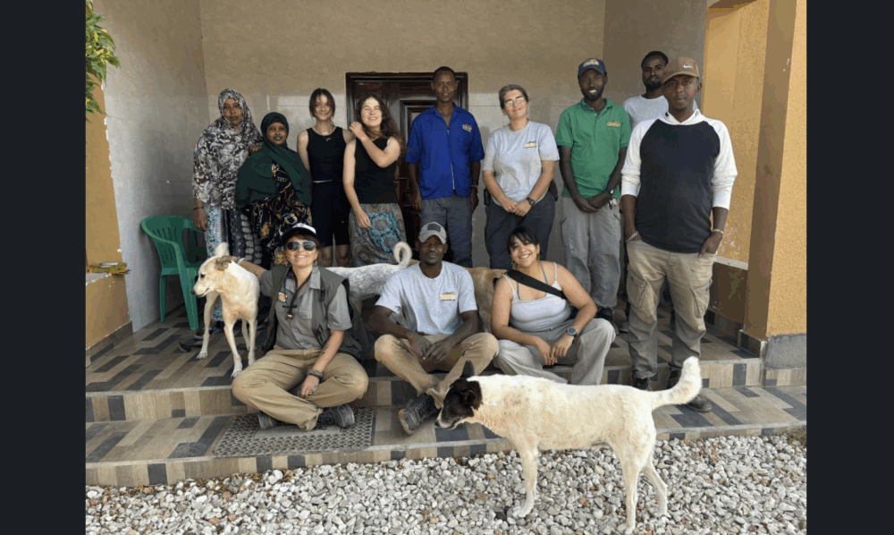 Canadian Veterinarian Reunites With Rescued Cheetahs – Somaliland