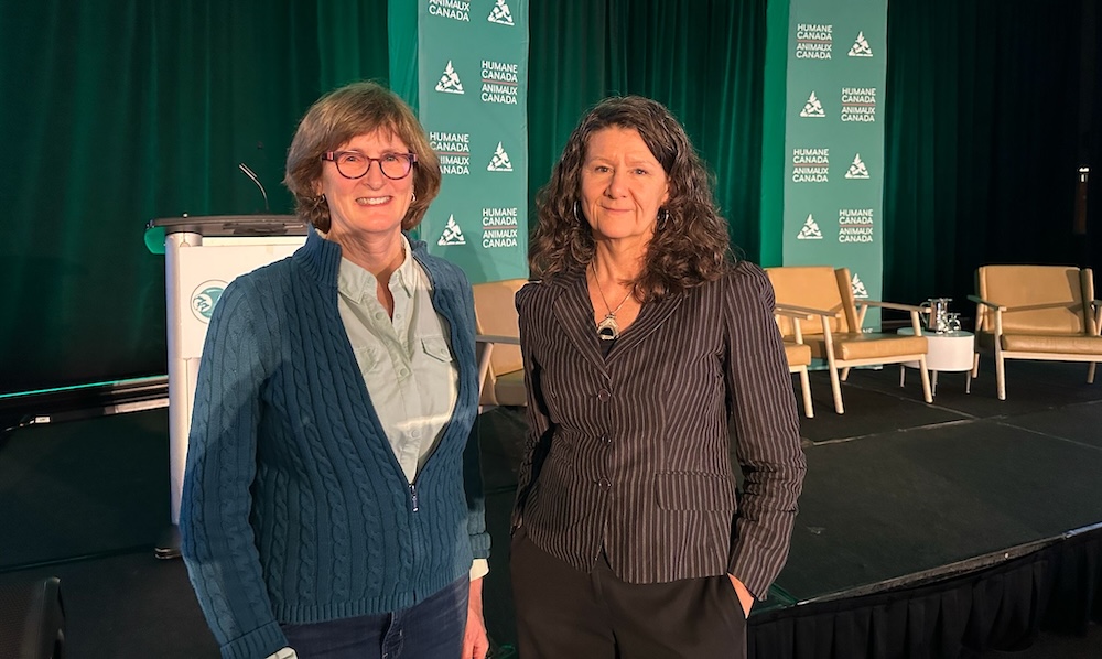 One Health One Welfare