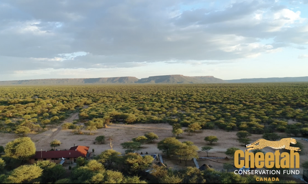 How Your 2025 Support Helped !