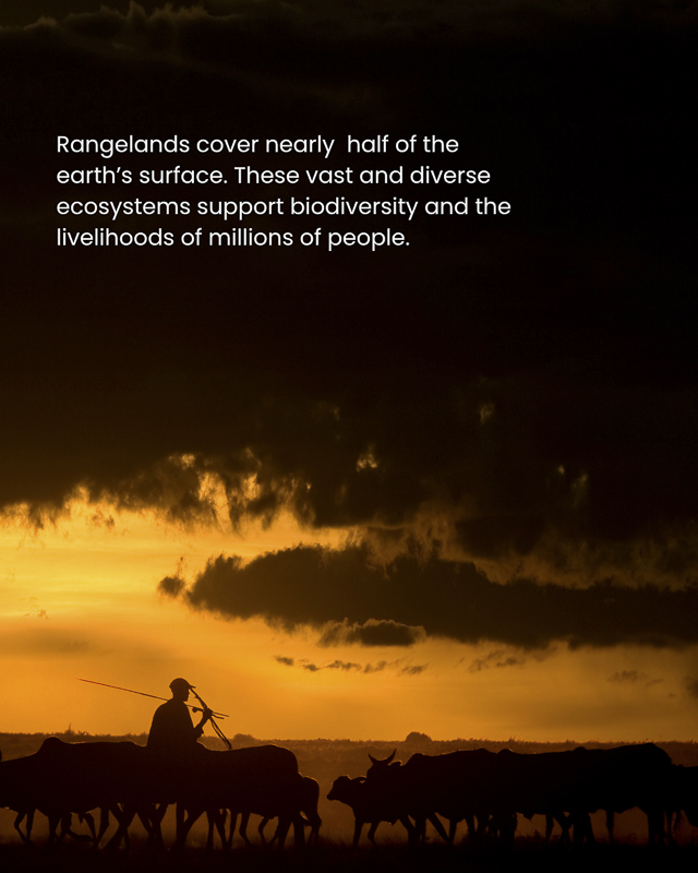 Rangelands support biodiversity and the livelihood of millions of people.