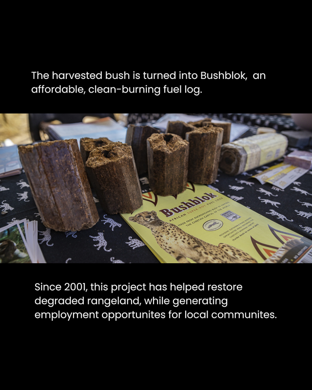 Harvested bush is Namibia is turned into Bushblock, an affordable, clean-burning fuel log.