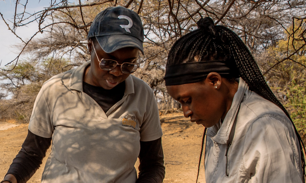 Conservation Is Not Just a Tourism Story — It’s a Career Story
