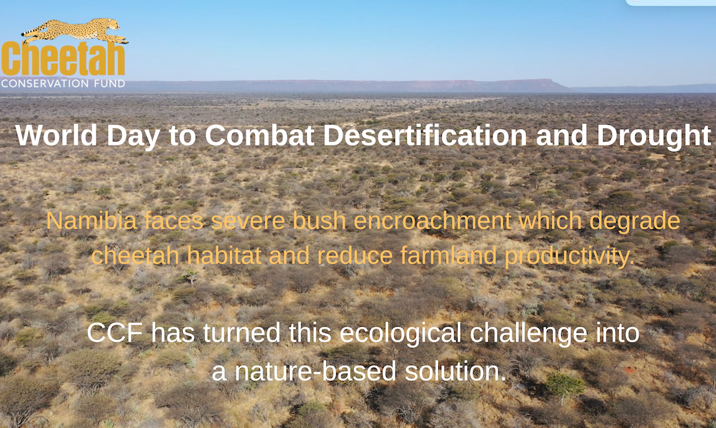 World Day to Combat Drought and Desertification