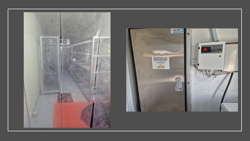 A two-panel photo showing the interior of a walk-in cold storage unit through plastic strip curtains on the left, and its insulated metal door with a Cheetah Rescue and Conservation Centre sign alongside a digital control panel on the right.