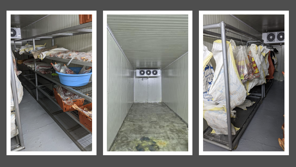 A Game-Changer for Cheetah Care: New Walk-In Refrigerator Transforms Daily Operations at CRCC