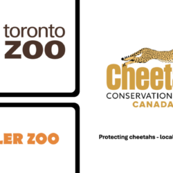 Toronto Zoo, Miller Zoo, Conservation awareness