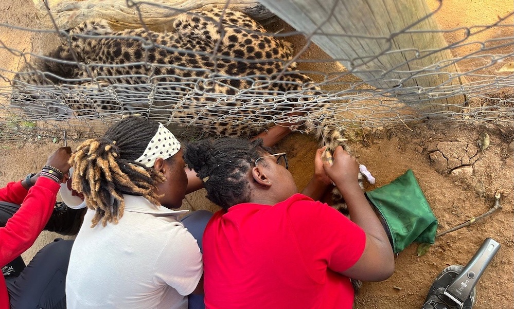Life at CCF: What the Behind Scenes of Wildlife Conservation Looks Like