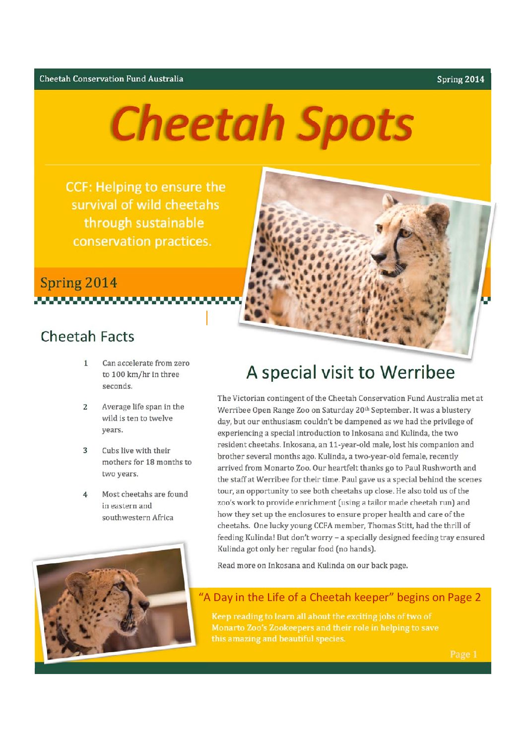 https://cheetah.org/cheetah-2019/wp-content/uploads/sites/4/2019/10/Cheetah-Spots-Spring2014-opt-pdf.jpg