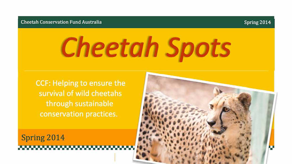 https://cheetah.org/cheetah-2019/wp-content/uploads/sites/4/2019/10/CheetahSpots1_Australia_FeaturedImage_1000x563.jpg