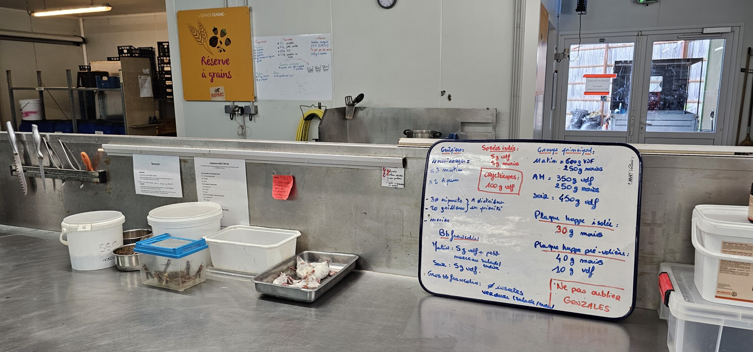 Plongez dans le quotidien des soigneurs animaliers !