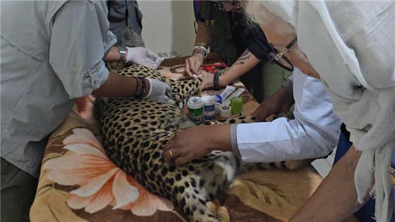 CCF France fait un don de 3’500 euros au CCF Somaliland pour l’achat d’un appareil de radiographie