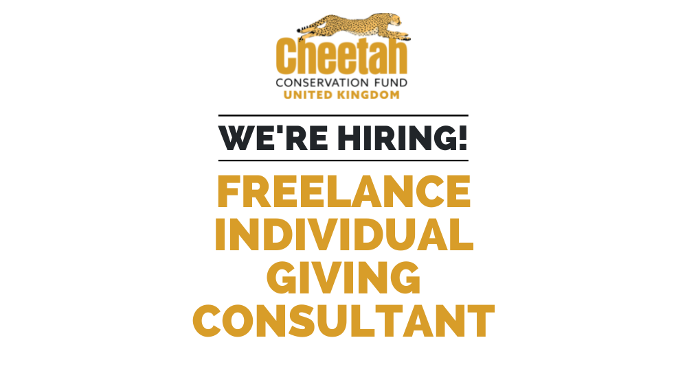 Job opportunity at CCF UK: Freelance Individual Giving Consultant