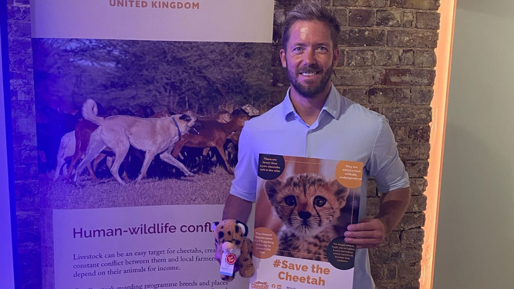 Formula E racing driver Sam Bird, launches “Racing for Survival” a new campaign and a race to save the endangered Cheetah, the fastest land mammal on earth.