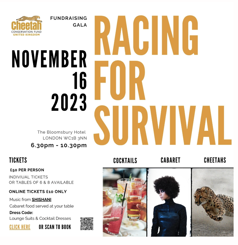Racing for Survival