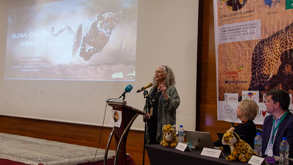 Dr. Laurie Marker’s Opening Speech at the Global Cheetah Summit
