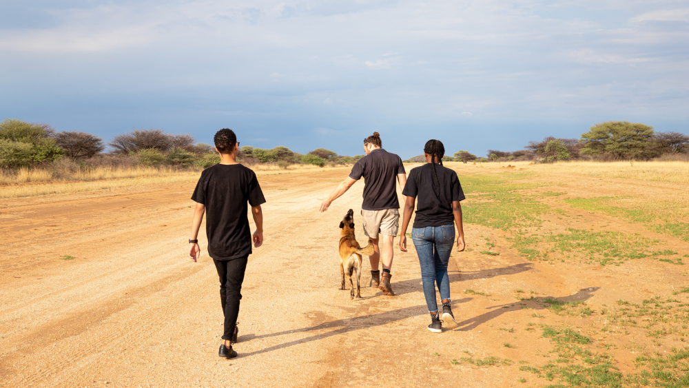 International Dog Day Canine Heroes in Cheetah Conservation