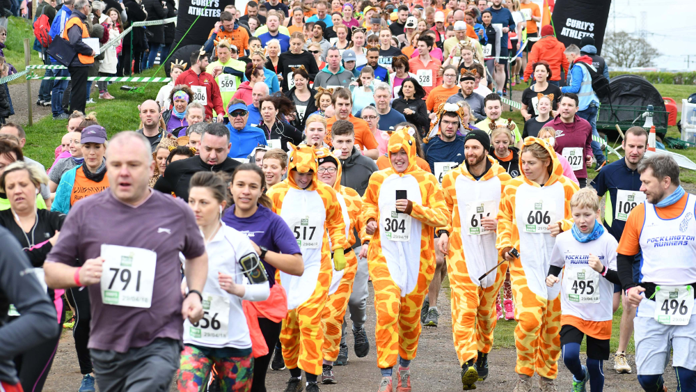 Join the Run for Wildlife and Help Save Cheetahs!