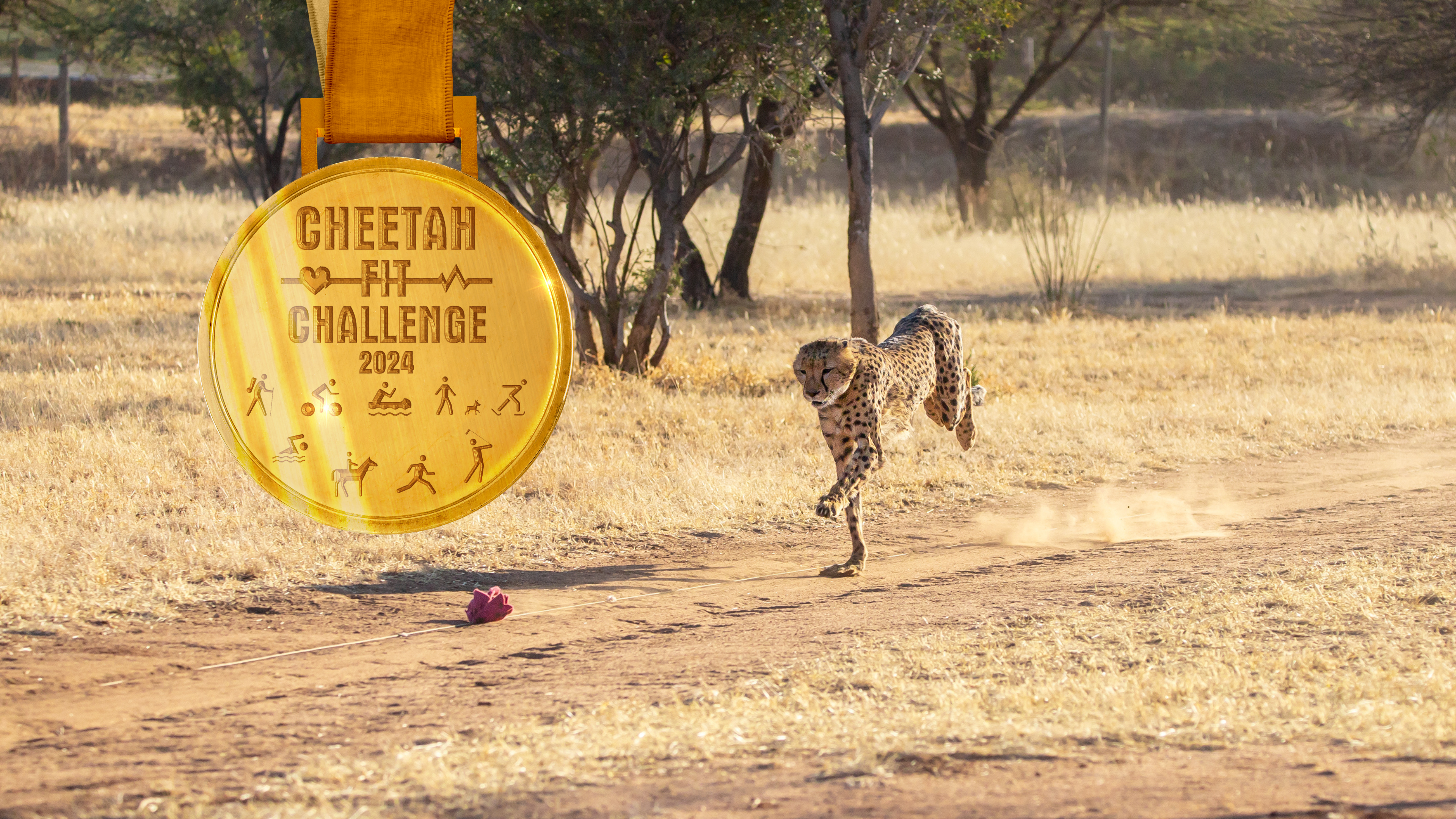 How can I join the Cheetah Fit Challenge?