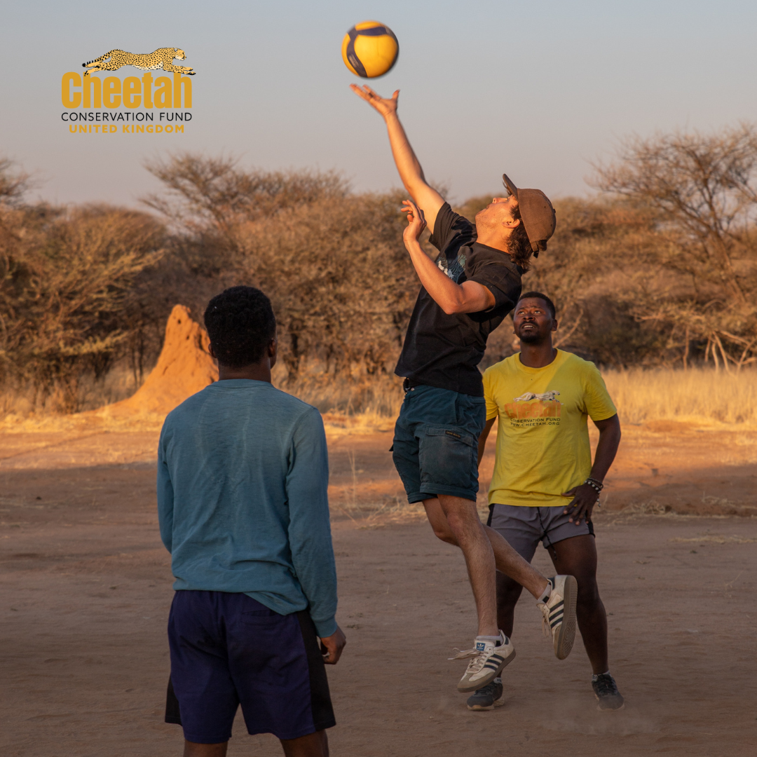 people playing volleyball