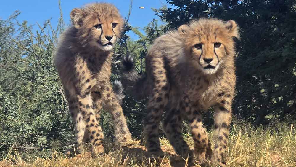 Visual Annual Report – 2024