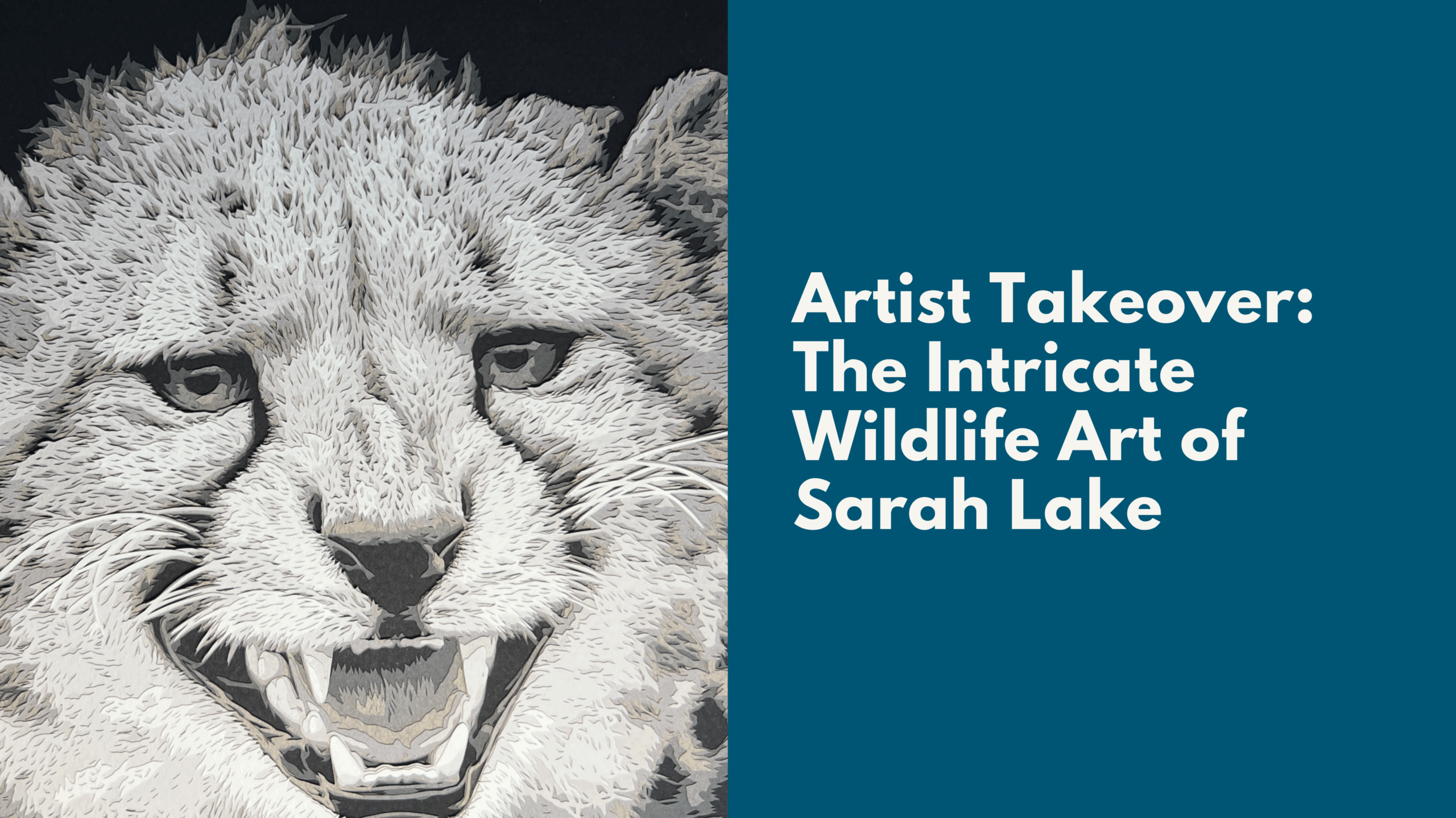 Our First Artist Takeover: The Intricate Wildlife Art of Sarah Lake