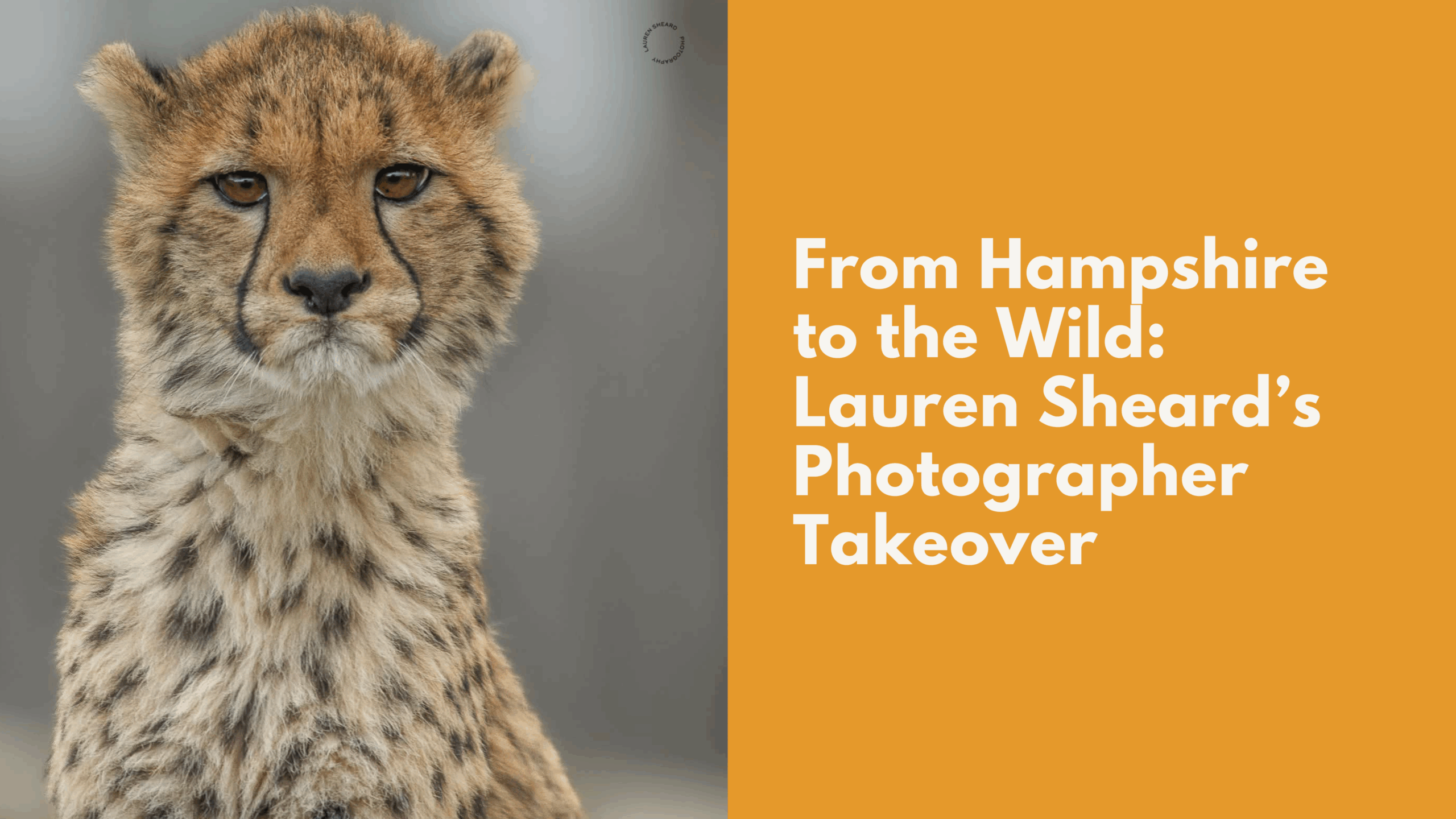 From Hampshire to the Wild: Lauren Sheard’s Photographer Takeover