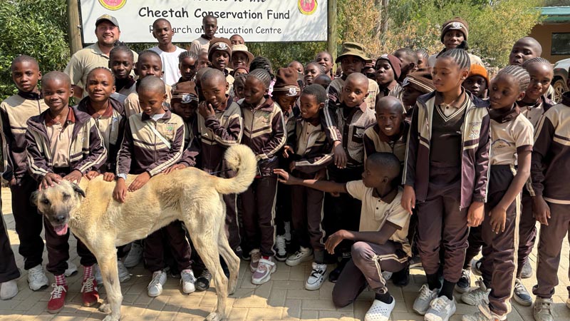 Education – Future Conservationists of Africa