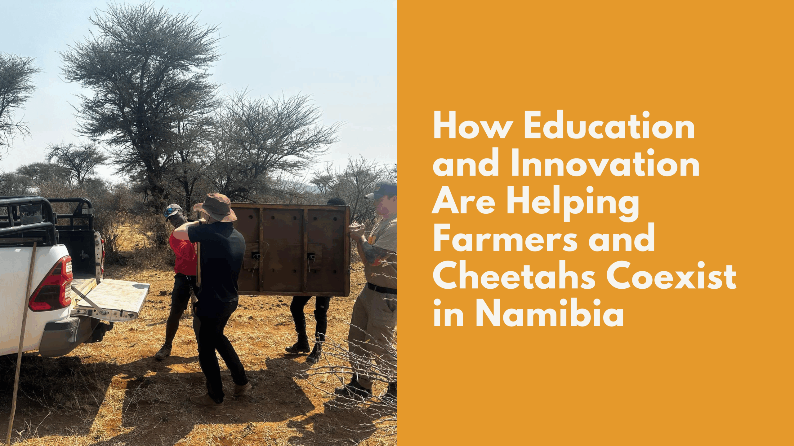 Tupuka’s Story: How Education and Innovation Are Helping Farmers and Cheetahs Coexist in Namibia