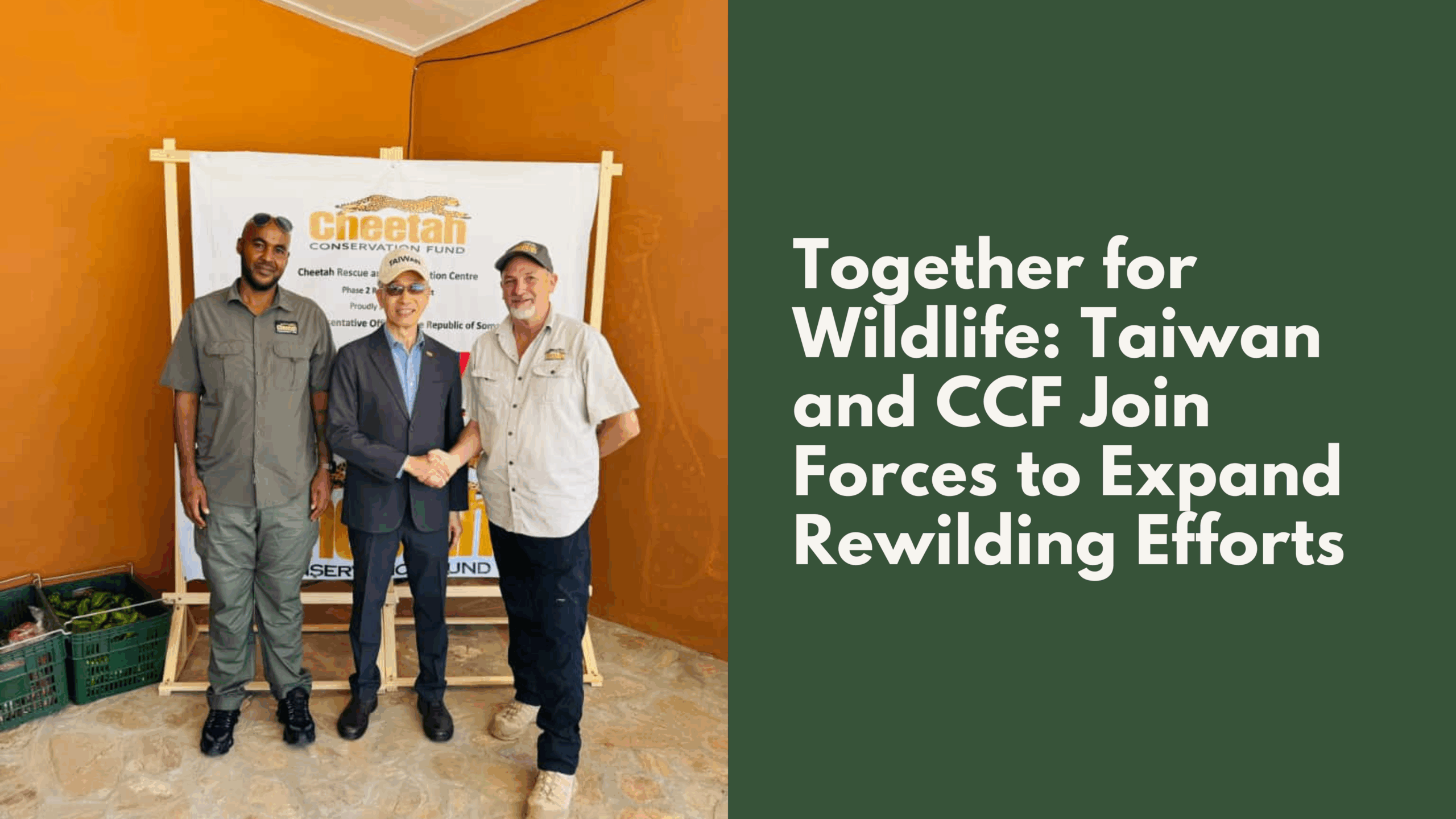 Together for Wildlife: Taiwan and CCF Join Forces to Expand Rewilding Efforts