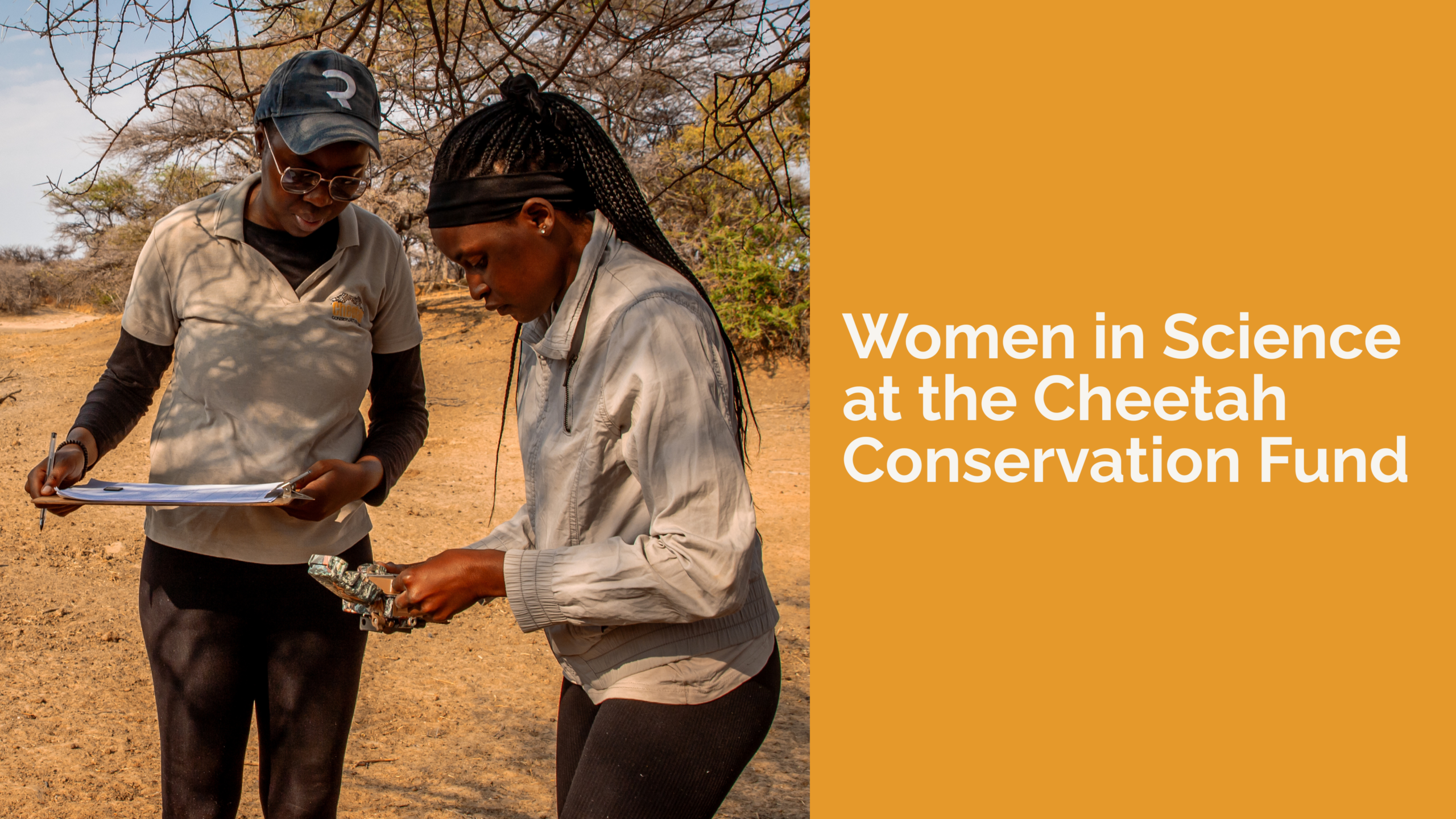 Women Shaping the Future of Science at the Cheetah Conservation Fund