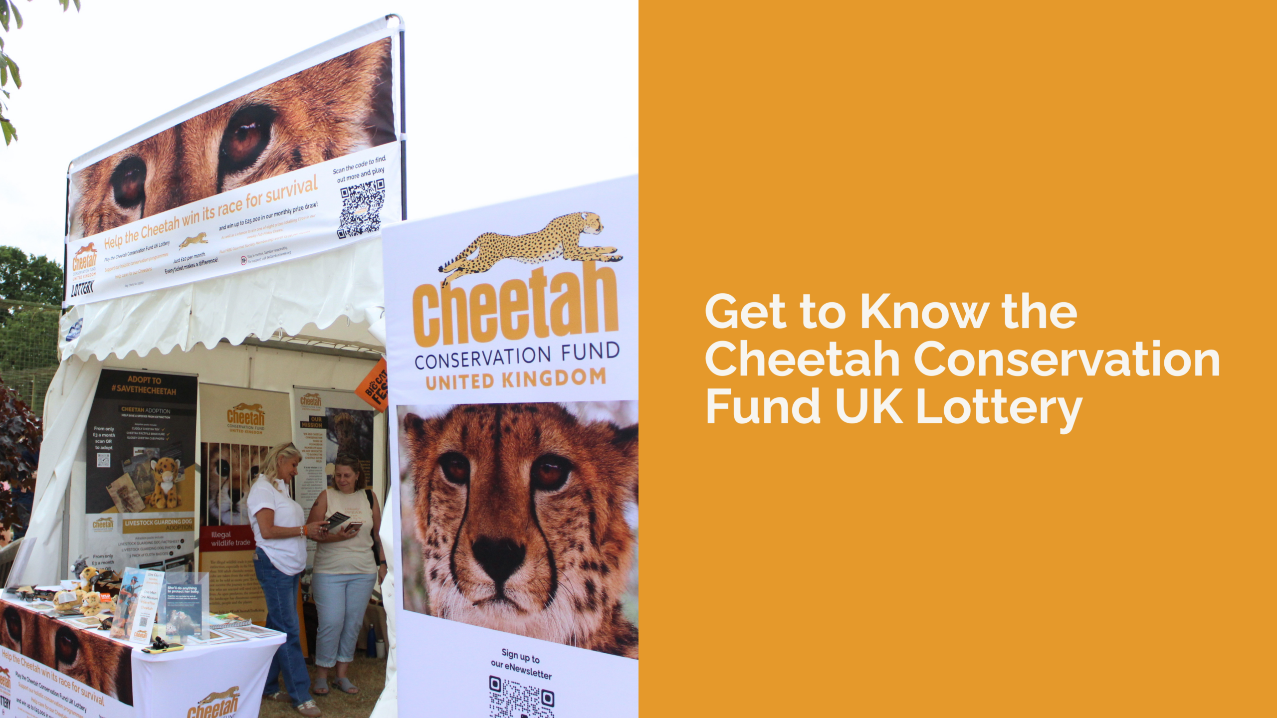 Get to Know the Cheetah Conservation Fund Lottery