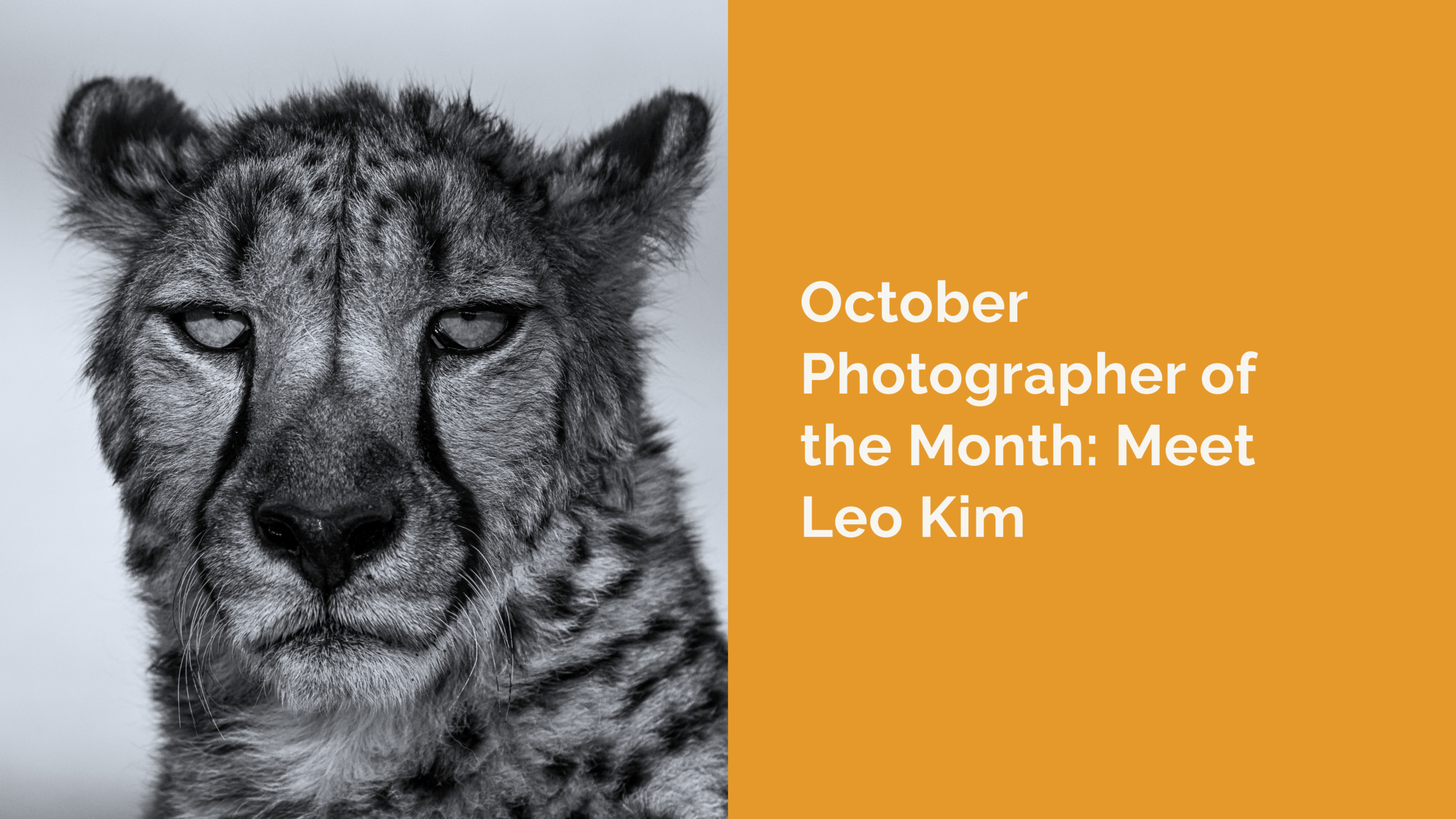 From CCF Intern to Wildlife Photographer: Meet Leo Kim