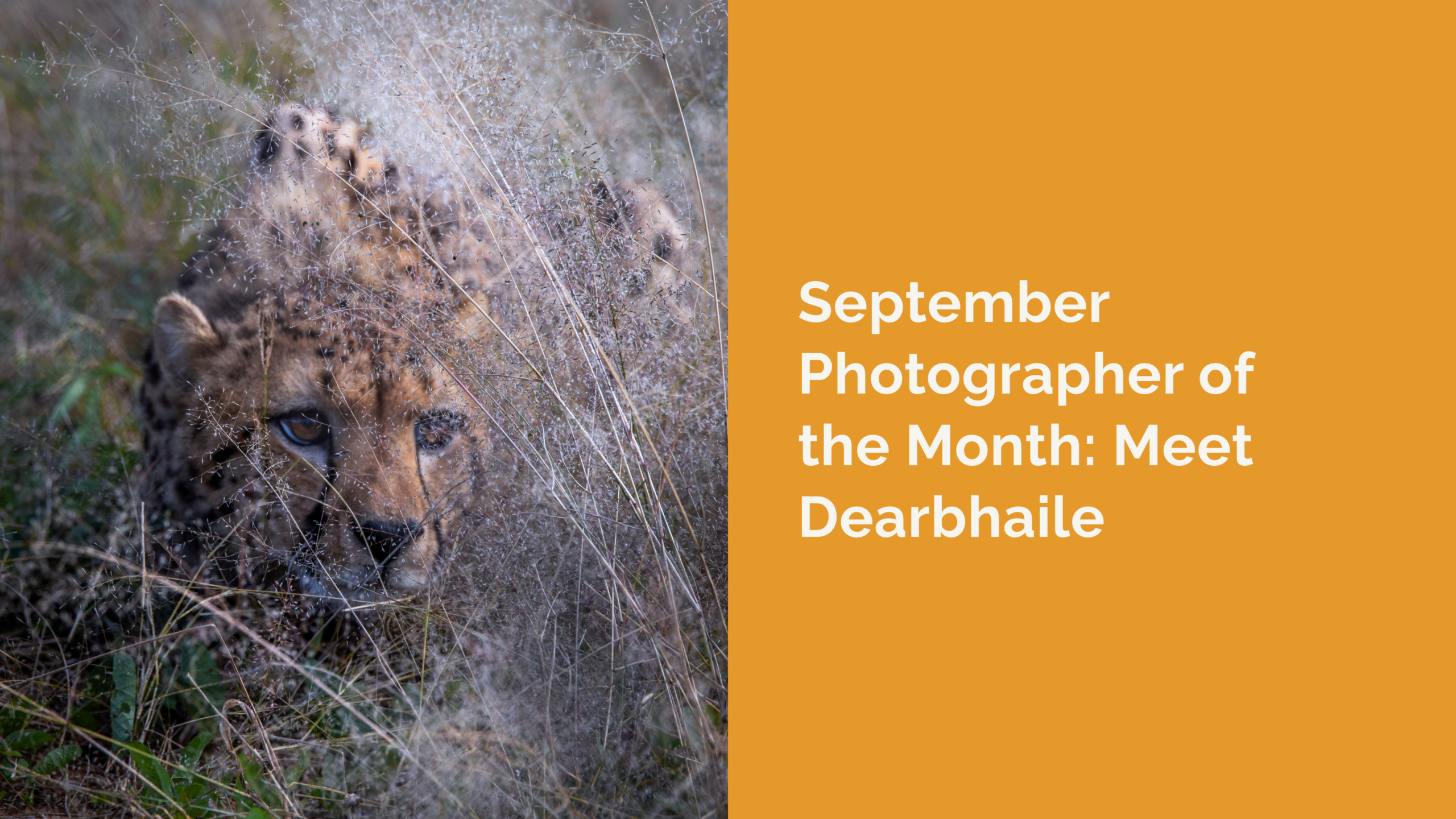 September Photographer of the Month: Meet Dearbhaile Ní Dhubhghaill