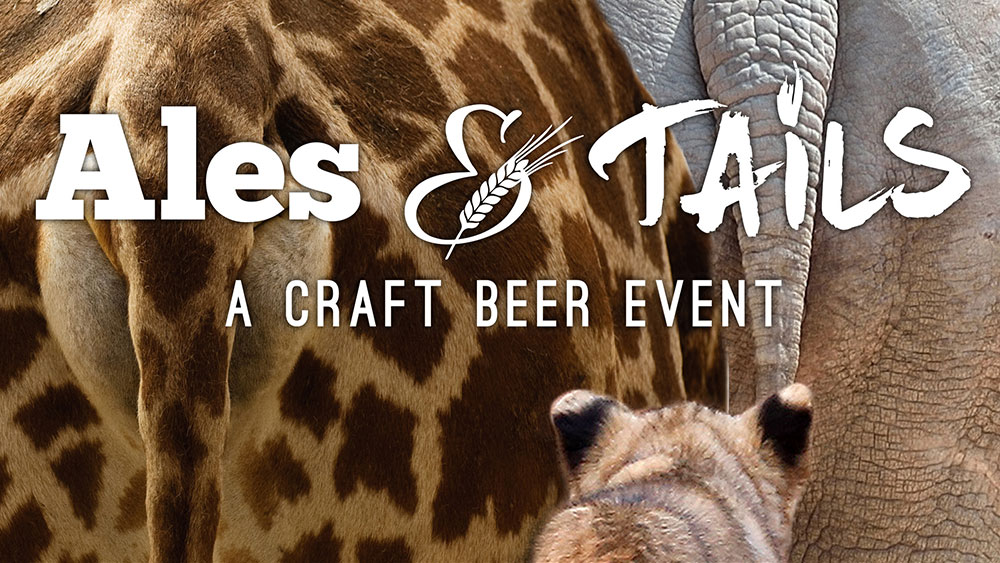 Animal Adventure Park - Ales and Tails - Cheetah Conservation Fund United  States