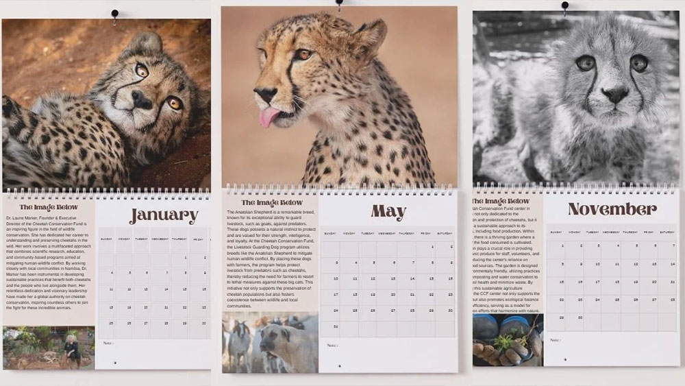 Hang Hope on Your Wall: The 2026 CCF Calendar