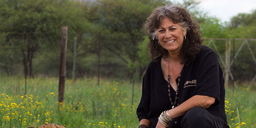 Dr. Laurie Marker giving a rescued cheetah treat from a spoon