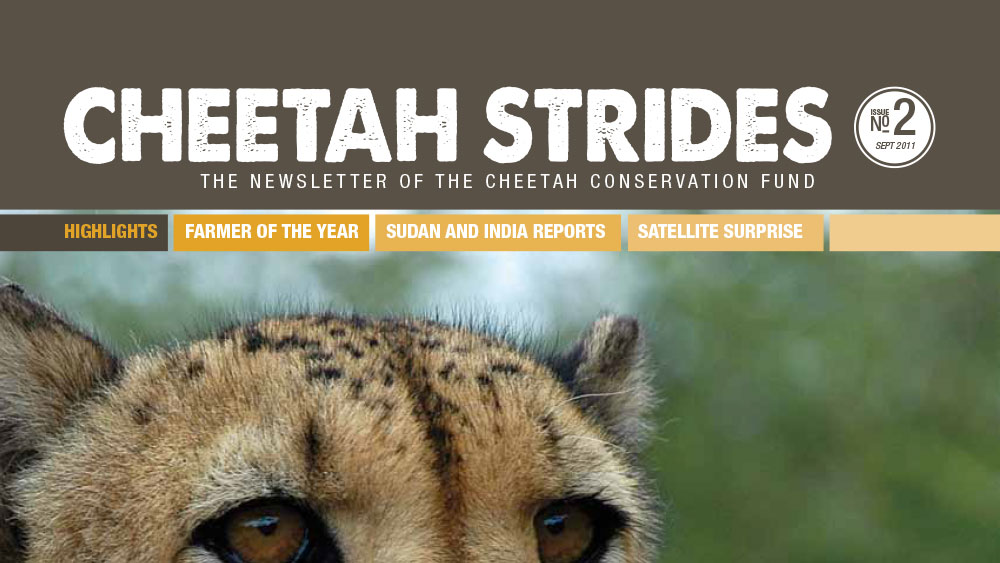 Cheetah Strides No. 2