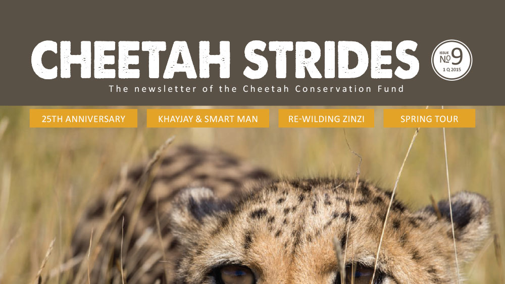 Cheetah Strides No. 9