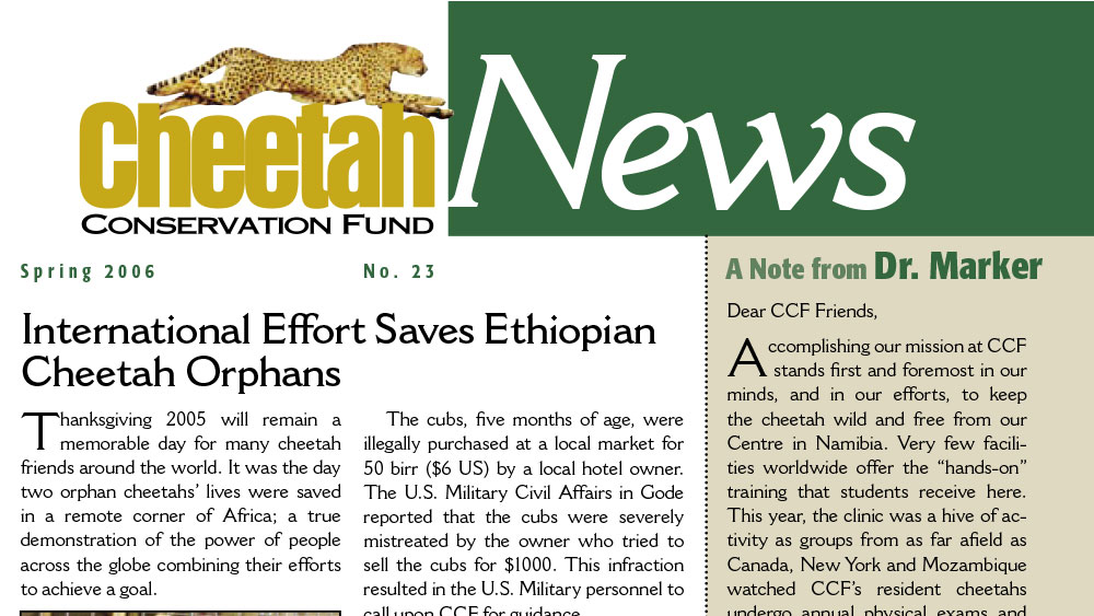 CCF Newsletter No. 23 – Spring 2006