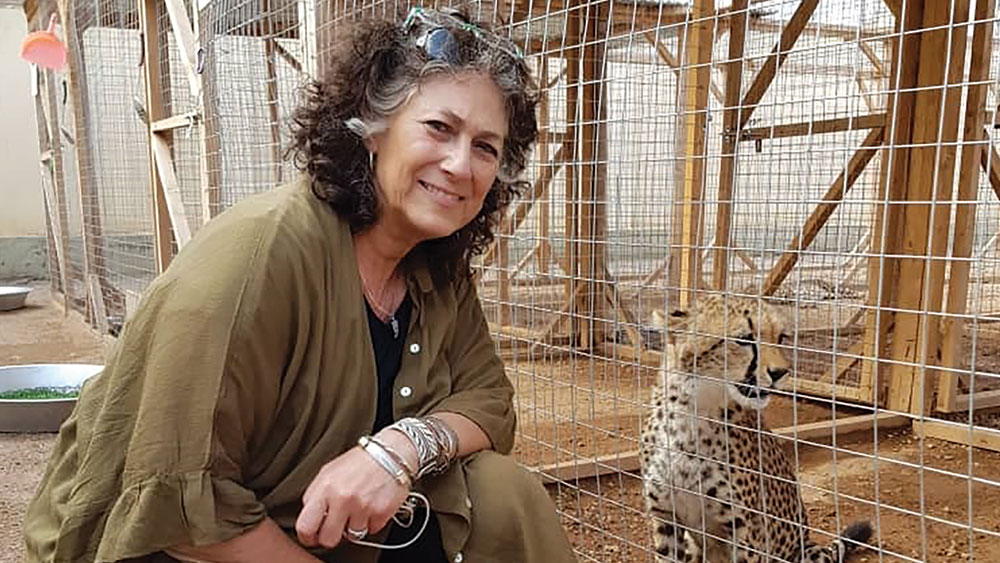 Cheetah Conservation Fund is Fighting the Illegal Pet Trade and We Need YOUR Help!