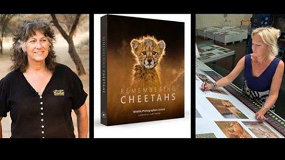 Facebook Live Remembering Cheetahs and Dr. Laurie Marker • Cheetah