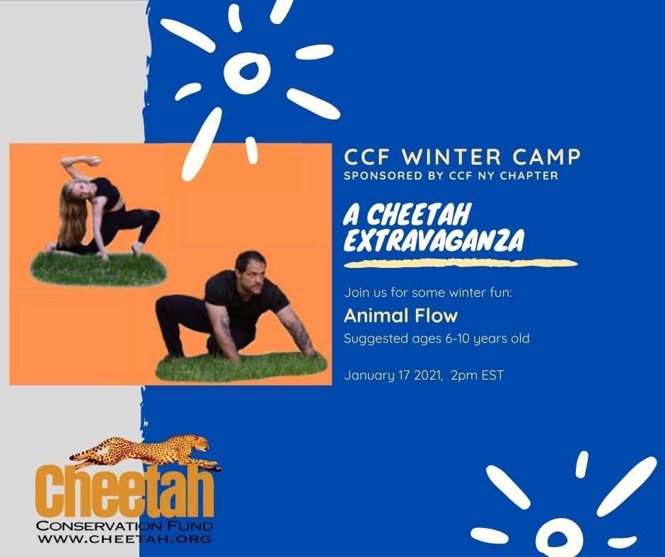 Winter Camp - Animal Flow • Cheetah Conservation Fund