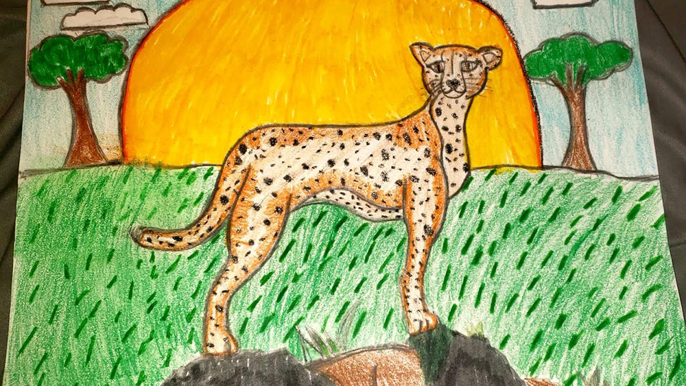 CCF’s Cheetah Friend on the “Zoo Crew” Makes a Change for Cheetahs